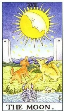 Ace of Cups Tarot Card