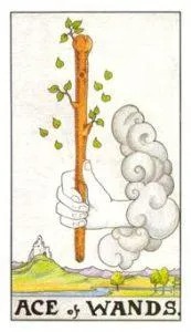 Five of Cups Tarot Card